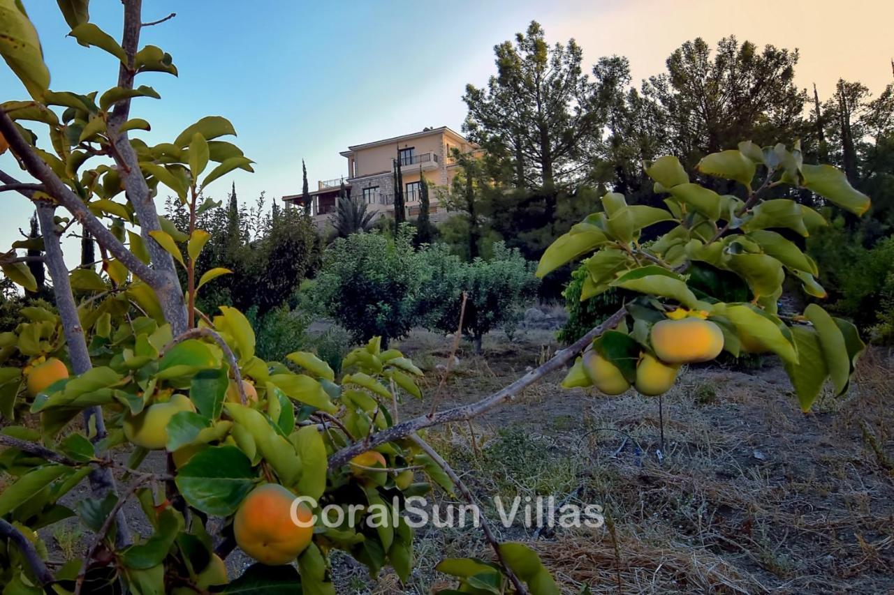 Elite Amazing Villa With Heated Pool By Coral Sun Villas Πόλη Εξωτερικό φωτογραφία